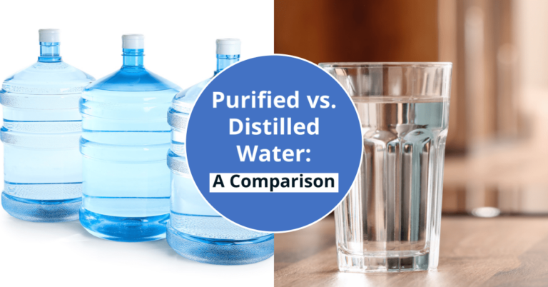 Purified vs Distilled Water