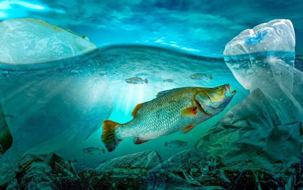 Plastic in the ocean pollution